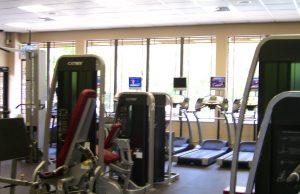 A Fun And Simple Guide To Physical Fitness
Our suggestions w…