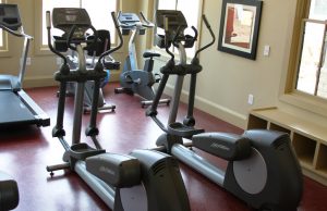 Possibilities of a Parkinson’s Illness Physical Treatment