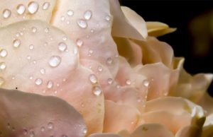 Appeal Tips To Assist You Look Your Greatest