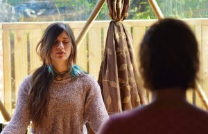 Diet Plans as well as Diet Regimen Programs – Picking a Diet regimen that functions