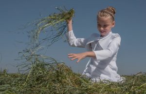 Arbonne Weight Loss System Is It What You Have Been Looking …