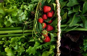 The Quest for Beauty
They would certainly after that use a f…