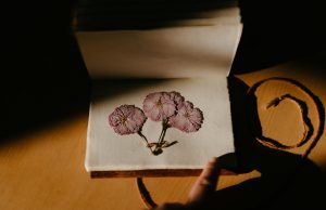 Resist Agianst Your Hemorrhoids And Win (2 )
If you are curr…