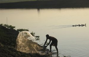 Healthy And Balanced Food Selections