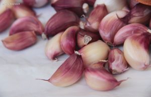 Nourishment Details That Will Adjustment Your Life 3