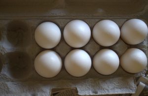 Why Having A Good Diet Is Importnat While Staying Fit
The ev…