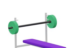 Are Fitness Goals Essential for Happiness Are Fitness Goals Essential for Happiness