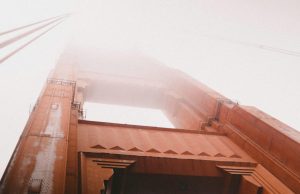 Top Nutrient-Dense Foods You Should Eat Daily Top Nutrient-Dense Foods You Should Eat Daily