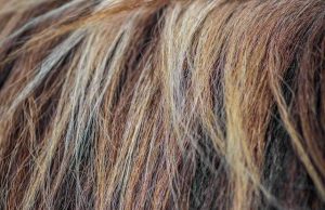 Are Hair Vitamins Necessary for Healthy Hair Are Hair Vitamins Necessary for Healthy Hair