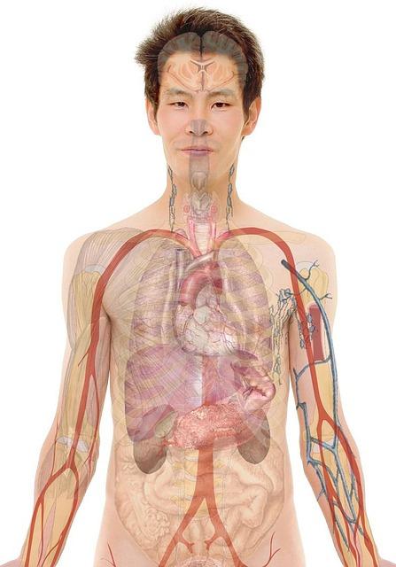 The Psychological Impact of Idealized Body Images