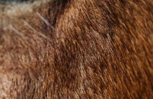 Tips for protecting hair color from fading Tips for protecting hair color from fading