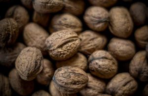 Secrets to Building a Healthy Grocery List Secrets to Building a Healthy Grocery List