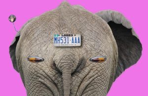 The Pros and Cons of Intermittent Fasting The Pros and Cons of Intermittent Fasting