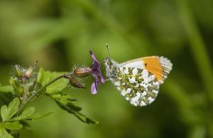 Practical tips for avoiding procrastination Practical tips for avoiding procrastination