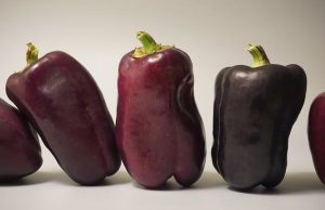 Top foods to support joint health naturally Top foods to support joint health naturally