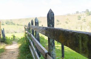 The role of personal boundaries in well-being The role of personal boundaries in well-being