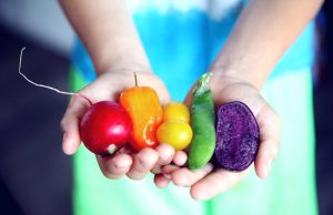 Ultimate Guide to Healthy Eating for Beginners Ultimate Guide to Healthy Eating for Beginners