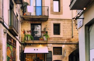 Understanding the Benefits of Omega-3 Fatty Acids Understanding the Benefits of Omega-3 Fatty Acids