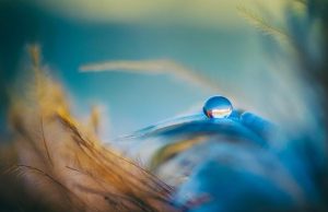 Understanding pH balance in skincare Understanding pH balance in skincare