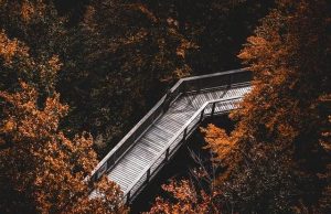 Ways to Practice Mindfulness in Everyday Life Ways to Practice Mindfulness in Everyday Life