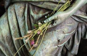 Top Anti-Aging Foods for Better Skin Top Anti-Aging Foods for Better Skin