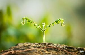 Natural Hair Growth Tips That Really Work Natural Hair Growth Tips That Really Work