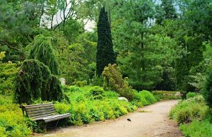 The Benefits of Taking a Mental Health Day The Benefits of Taking a Mental Health Day