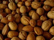 Protein-Rich Snack Ideas for Busy Days