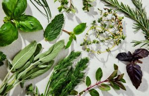 The Power of Herbs and Spices in Daily Cooking The Power of Herbs and Spices in Daily Cooking