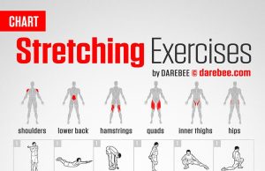 Role of stretching in muscle recovery Role of stretching in muscle recovery