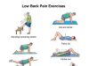 Exercises to Relieve Lower Back Pain Exercises to Relieve Lower Back Pain