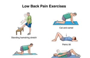Exercises to Relieve Lower Back Pain Exercises to Relieve Lower Back Pain