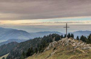 Understanding the Benefits of Cross-Training Understanding the Benefits of Cross-Training