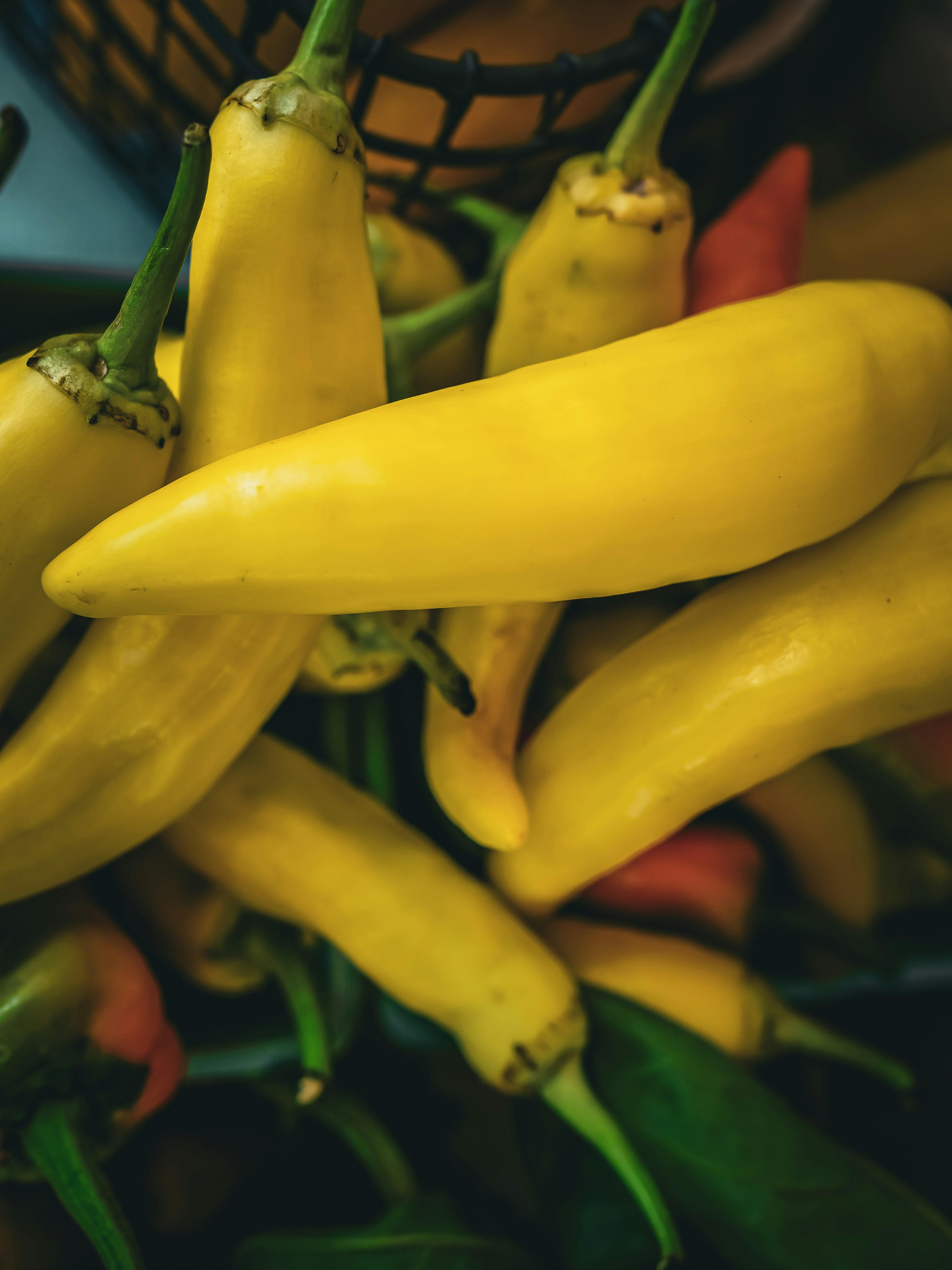 The Environmental Impact of Choosing Organic Produce