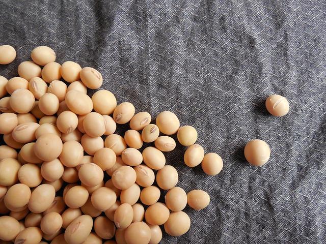 Unpacking the Health Benefits of Regular Soy Consumption