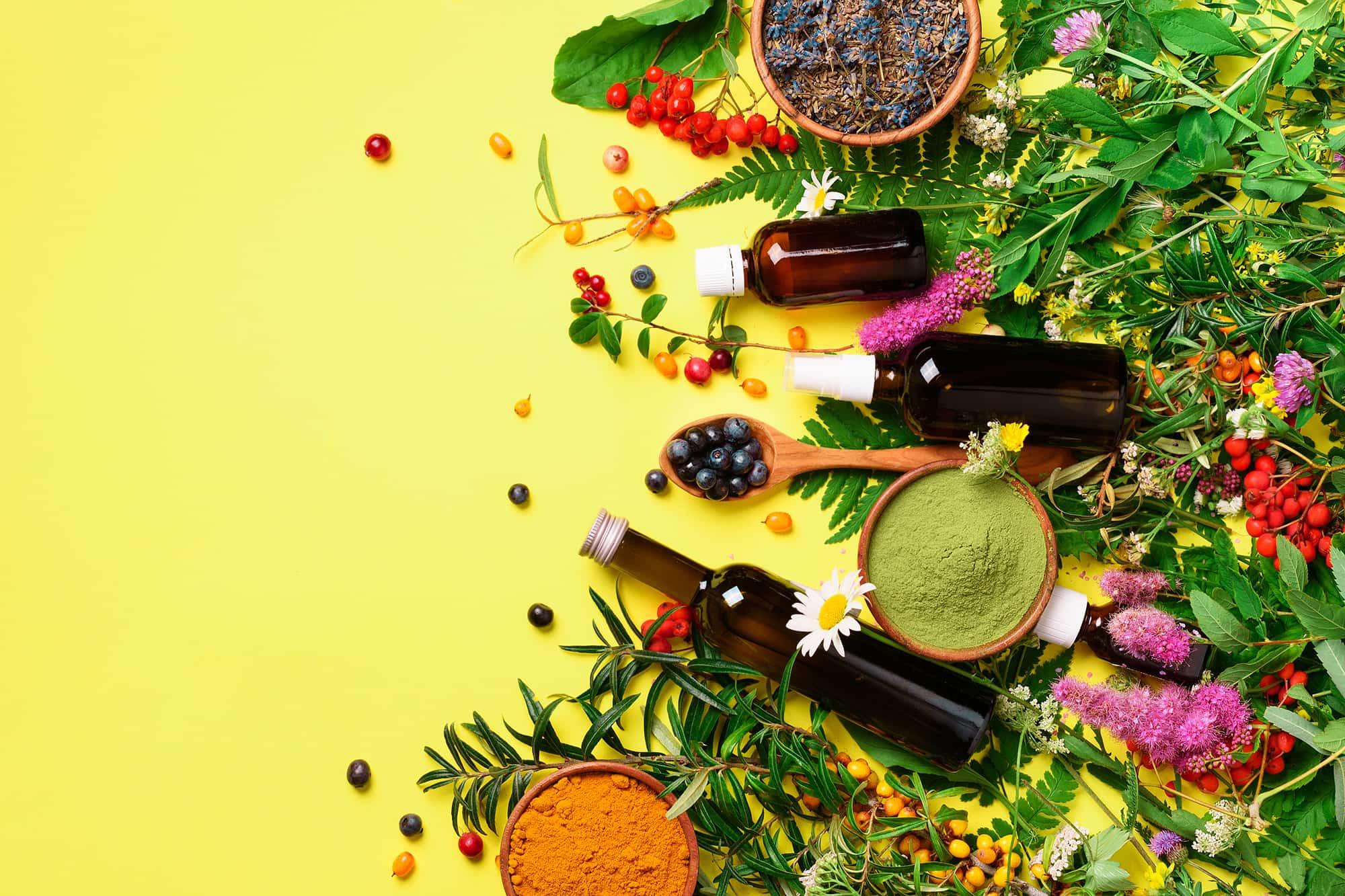 Harnessing Nature: ​Botanical Ingredients that ⁢Combat Aging