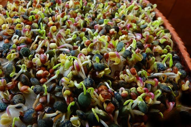 Nutrient-Rich Foods for ⁣Stronger Strands