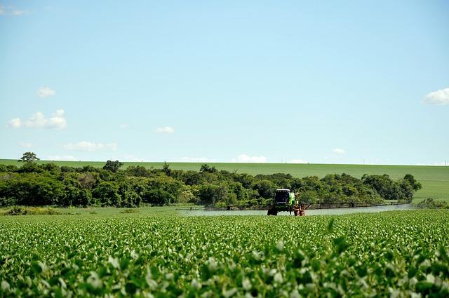 Guidelines for Incorporating Soy into a Balanced Diet